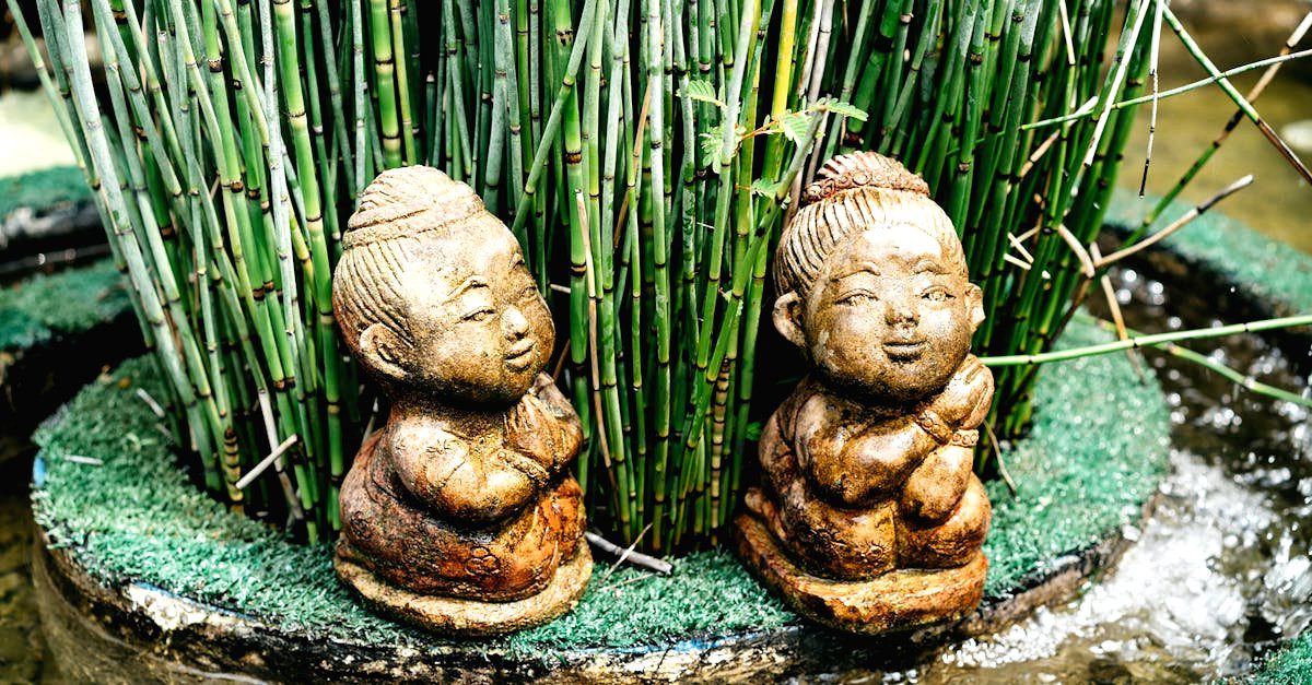 découvrez l'harmonie et la sérénité des jardins japonais, où chaque élément est soigneusement conçu pour refléter la beauté de la nature. plongez dans un univers zen, plein de symbolisme et de tradition, et laissez-vous envoûter par l'art de vivre à la japonaise.