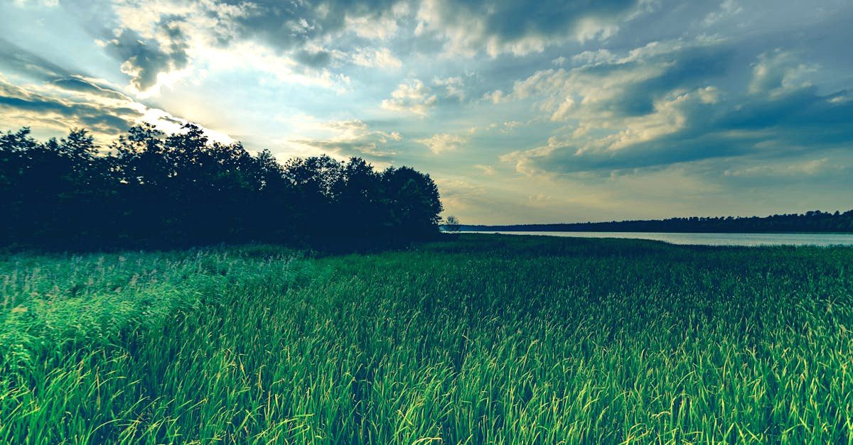 découvrez l'essence de la sérénité à travers notre guide inspirant. plongez dans des techniques apaisantes, des pratiques de méditation et des conseils pour cultiver une paix intérieure durable et harmonieuse.