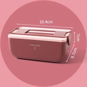 Bento portable à compartiments